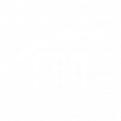 CIID 2017
